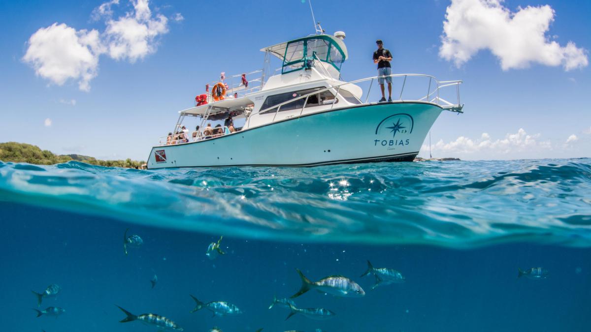 Snorkel and Beach Tour | Day Trip to Culebra Island, Puerto Rico