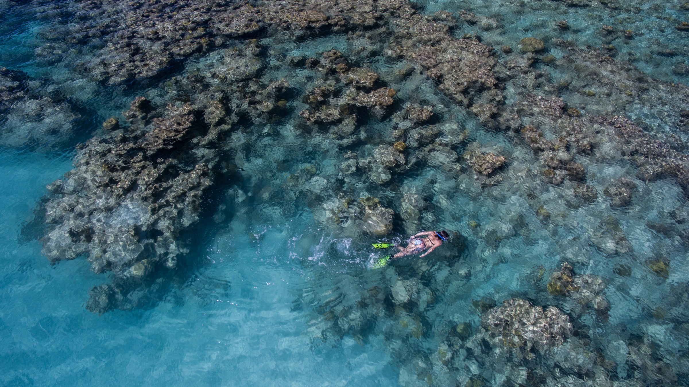 Girl snorkeling