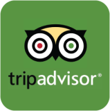 TripAdvisor Logo Green